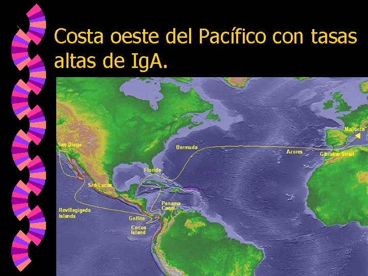 Costa oeste del Pacífico con tasas altas de Ig. A. 