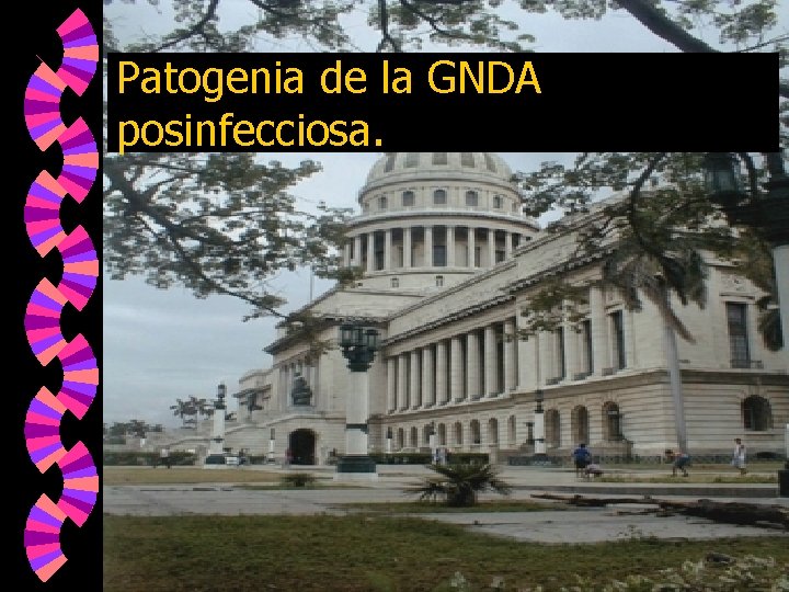 Patogenia de la GNDA posinfecciosa. 