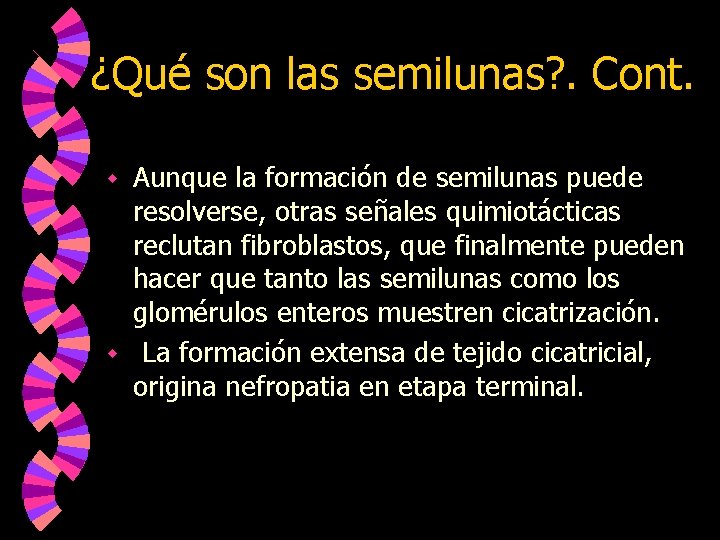 ¿Qué son las semilunas? . Cont. Aunque la formación de semilunas puede resolverse, otras
