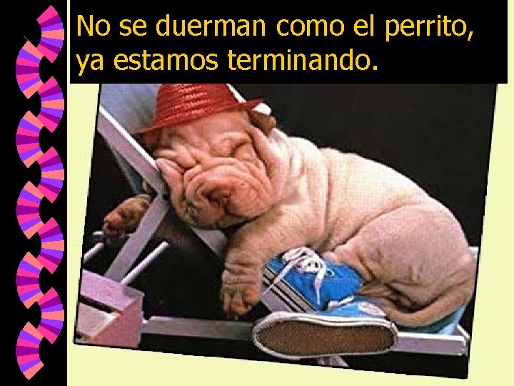 No se duerman como el perrito, ya estamos terminando. 