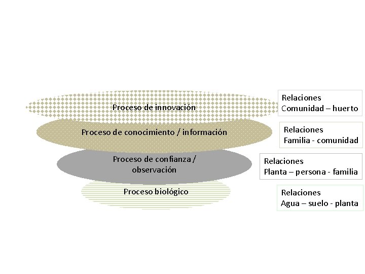 Proceso de innovación Relaciones Comunidad – huerto Proceso de conocimiento / información Relaciones Familia