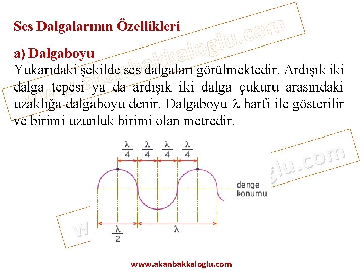 Ses Dalgalarının Özellikleri o l a akk m o c. u l g a)