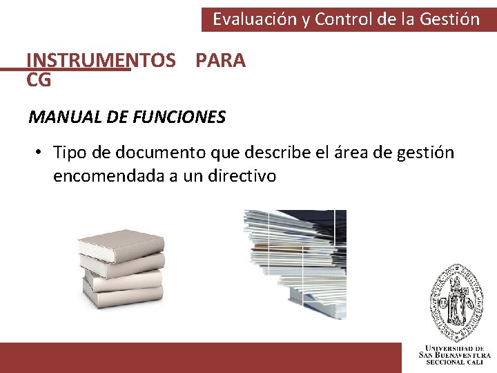 Evaluación y Control de la Gestión INSTRUMENTOS PARA CG MANUAL DE FUNCIONES • Tipo