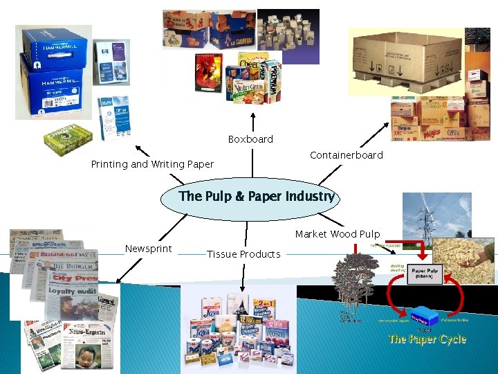 Boxboard Printing and Writing Paper Containerboard The Pulp & Paper Industry Newsprint Market Wood