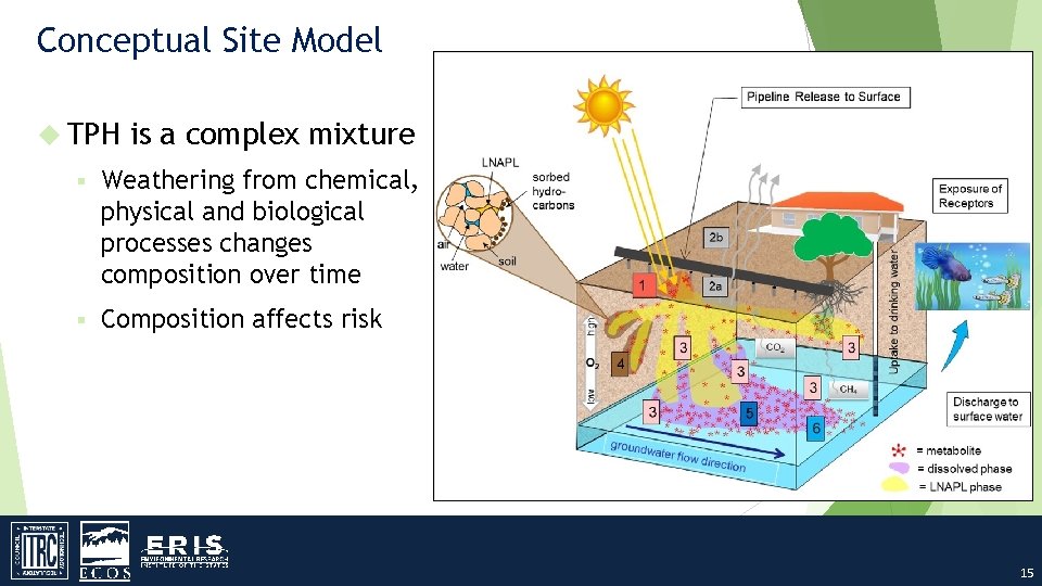 Conceptual Site Model TPH is a complex mixture § Weathering from chemical, physical and