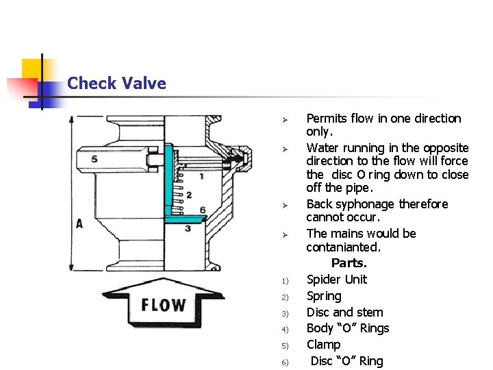 Check Valve Ø Ø 1) 2) 3) 4) 5) 6) Permits flow in one