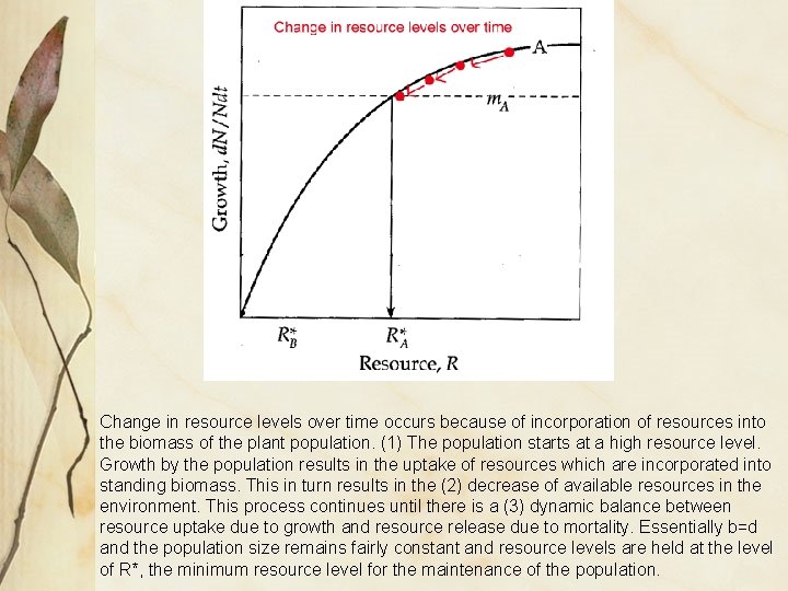 Change in resource levels over time occurs because of incorporation of resources into the Change in resource levels over time occurs because of incorporation of resources into the