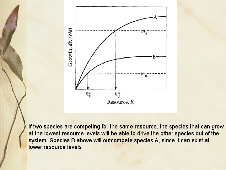 If two species are competing for the same resource, the species that can grow If two species are competing for the same resource, the species that can grow