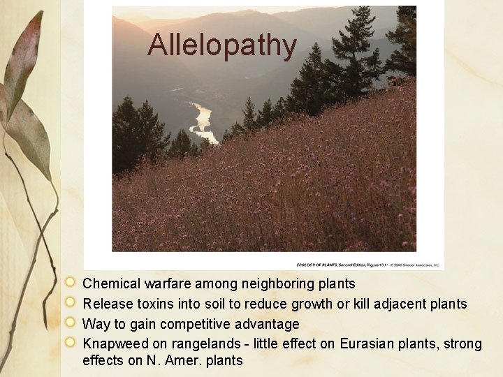Allelopathy Chemical warfare among neighboring plants Release toxins into soil to reduce growth or Allelopathy Chemical warfare among neighboring plants Release toxins into soil to reduce growth or