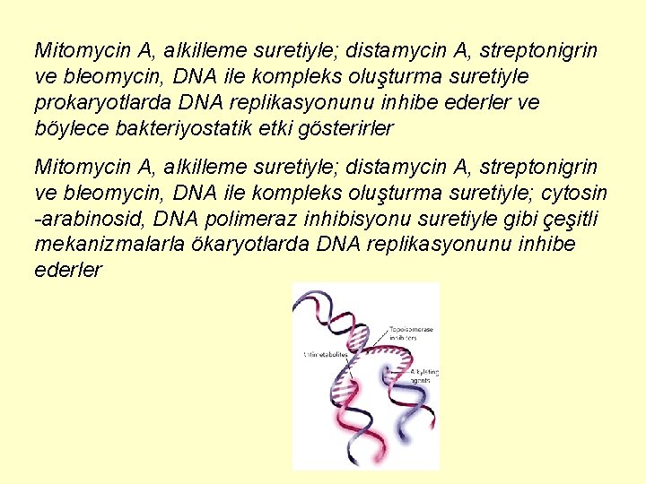 Mitomycin A, alkilleme suretiyle; distamycin A, streptonigrin ve bleomycin, DNA ile kompleks oluşturma suretiyle