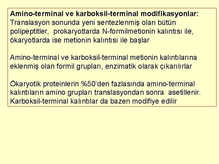 Amino-terminal ve karboksil-terminal modifikasyonlar: Translasyon sonunda yeni sentezlenmiş olan bütün polipeptitler, prokaryotlarda N-formilmetionin kalıntısı