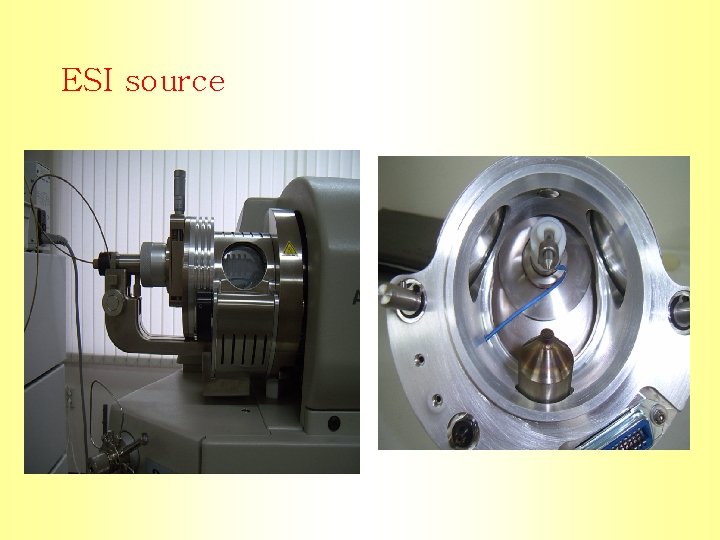 ESI source 