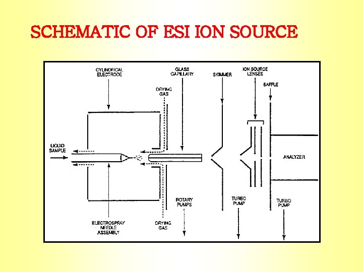 SCHEMATIC OF ESI ION SOURCE 