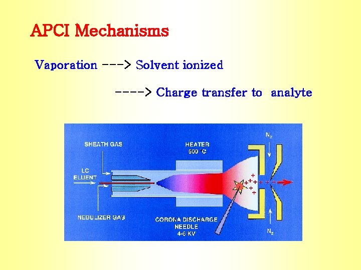 APCI Mechanisms Vaporation ---> Solvent ionized ----> Charge transfer to analyte 