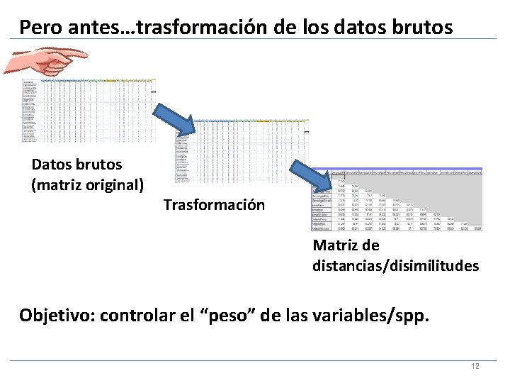 Pero antes…trasformación de los datos brutos Datos brutos (matriz original) Trasformación Matriz de distancias/disimilitudes