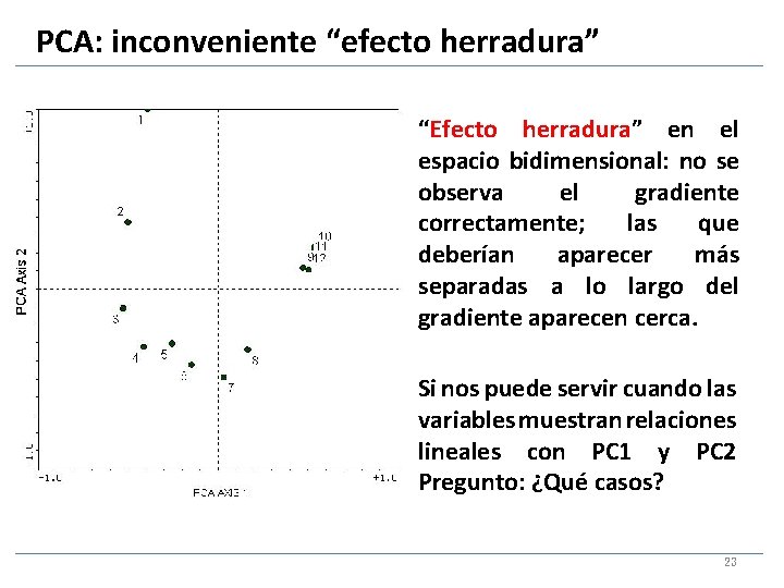 PCA: inconveniente “efecto herradura” “Efecto herradura” en el espacio bidimensional: no se observa el