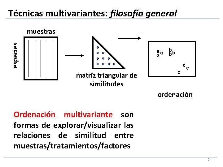 Técnicas multivariantes: filosofía general especies muestras aa a b bb c matriz triangular de