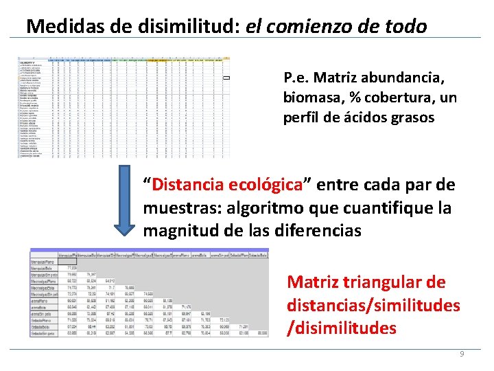 Medidas de disimilitud: el comienzo de todo P. e. Matriz abundancia, biomasa, % cobertura,