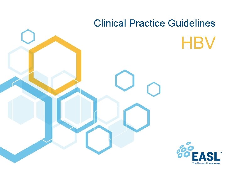 Clinical Practice Guidelines HBV 
