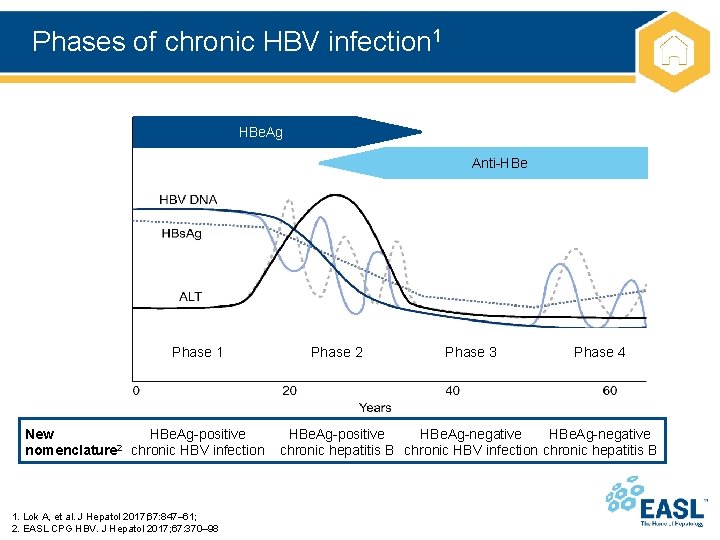 Phases of chronic HBV infection 1 HBe. Ag Anti-HBe Phase 1 New HBe. Ag-positive