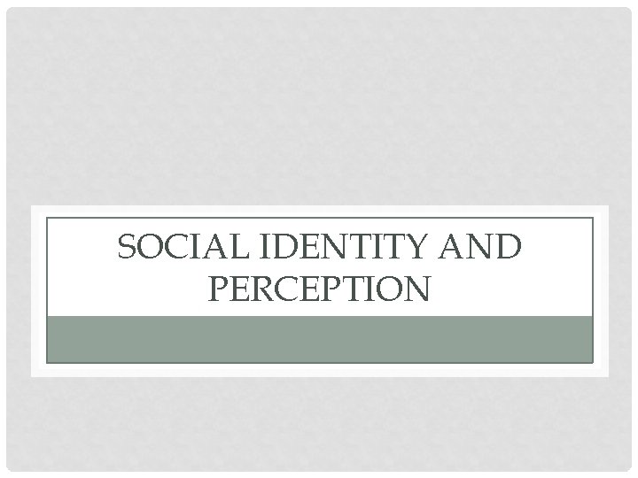 SOCIAL IDENTITY AND PERCEPTION 