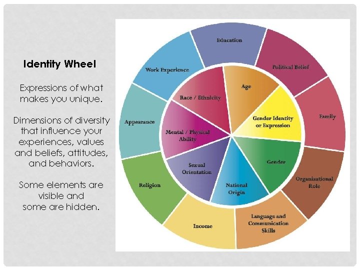 Identity Wheel Expressions of what makes you unique. Dimensions of diversity that influence your