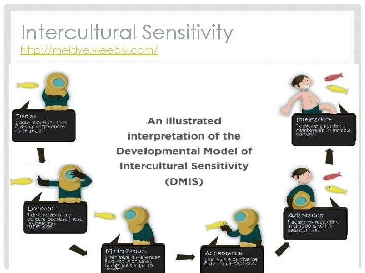 Intercultural Sensitivity http: //meldye. weebly. com/ 