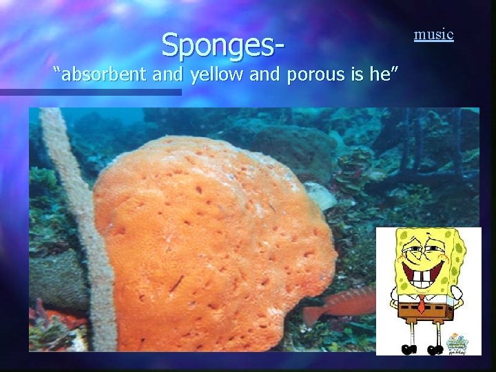 Sponges- “absorbent and yellow and porous is he” music Sponges- “absorbent and yellow and porous is he” music