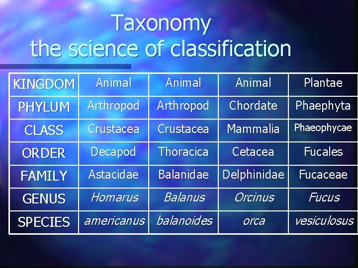 Taxonomy the science of classification KINGDOM Animal Plantae PHYLUM Arthropod Chordate Phaephyta CLASS Crustacea Taxonomy the science of classification KINGDOM Animal Plantae PHYLUM Arthropod Chordate Phaephyta CLASS Crustacea