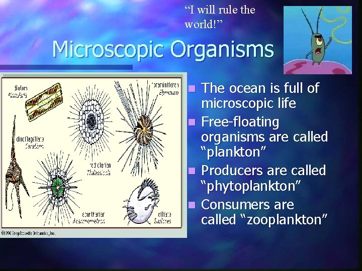 “I will rule the world!” Microscopic Organisms n n The ocean is full of “I will rule the world!” Microscopic Organisms n n The ocean is full of