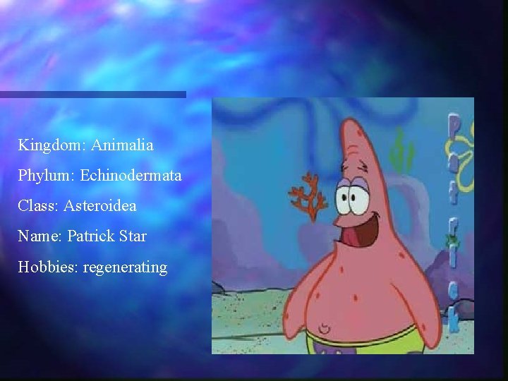 Kingdom: Animalia Phylum: Echinodermata Class: Asteroidea Name: Patrick Star Hobbies: regenerating Kingdom: Animalia Phylum: Echinodermata Class: Asteroidea Name: Patrick Star Hobbies: regenerating