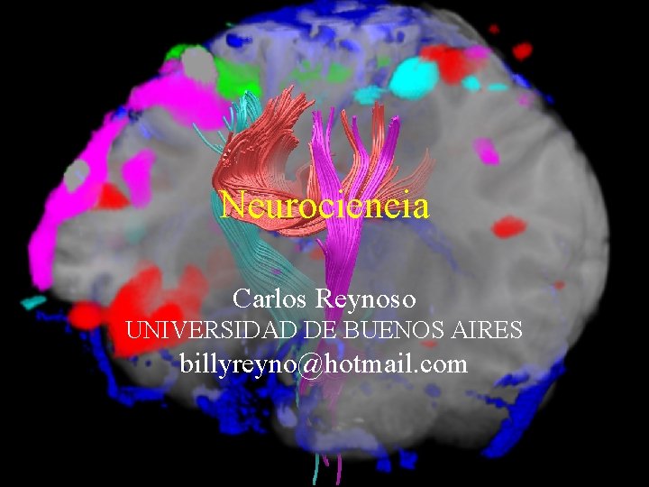 Neurociencia Carlos Reynoso UNIVERSIDAD DE BUENOS AIRES billyreyno@hotmail. com 