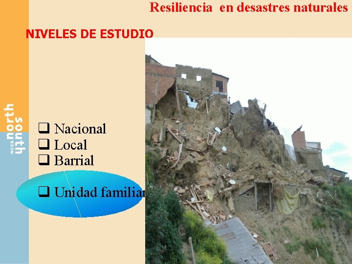 Resiliencia en desastres naturales NIVELES DE ESTUDIO q Nacional q Local q Barrial q