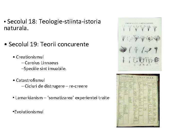  • Secolul 18: Teologie-stiinta-istoria naturala. • Secolul 19: Teorii concurente • Creationismul –