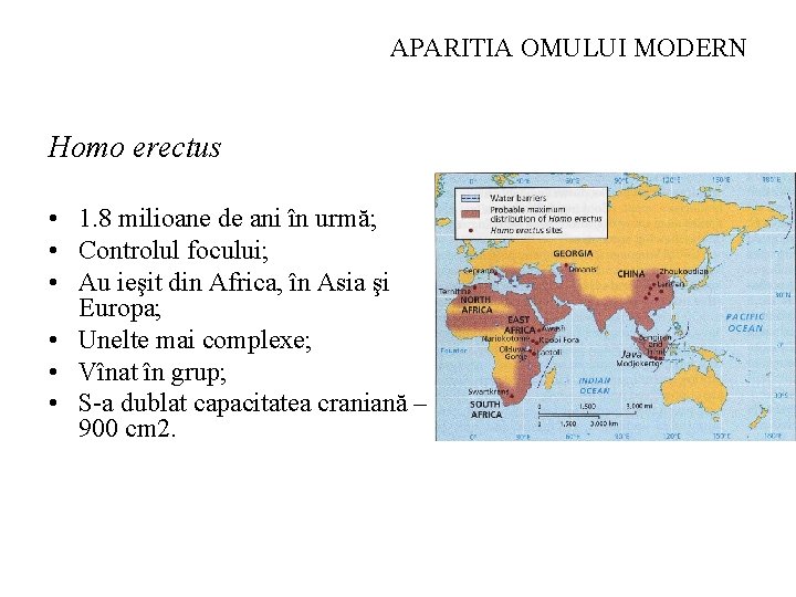 APARITIA OMULUI MODERN Homo erectus • 1. 8 milioane de ani în urmă; •