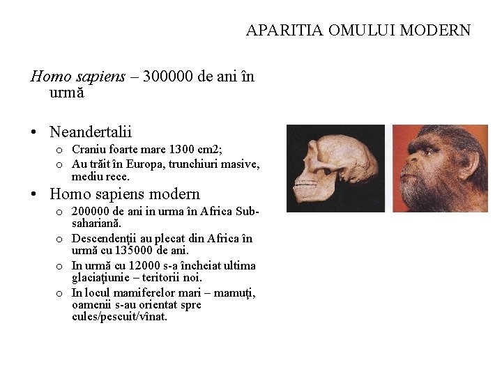 APARITIA OMULUI MODERN Homo sapiens – 300000 de ani în urmă • Neandertalii o