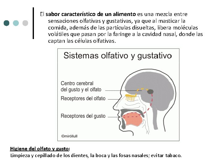 El sabor característico de un alimento es una mezcla entre sensaciones olfativas y gustativas, El sabor característico de un alimento es una mezcla entre sensaciones olfativas y gustativas,