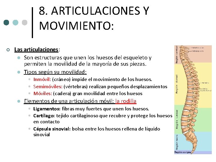 8. ARTICULACIONES Y MOVIMIENTO: ¢ Las articulaciones: l Son estructuras que unen los huesos 8. ARTICULACIONES Y MOVIMIENTO: ¢ Las articulaciones: l Son estructuras que unen los huesos