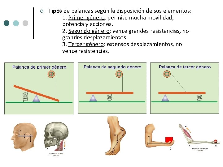 ¢ Tipos de palancas según la disposición de sus elementos: 1. Primer género: permite ¢ Tipos de palancas según la disposición de sus elementos: 1. Primer género: permite
