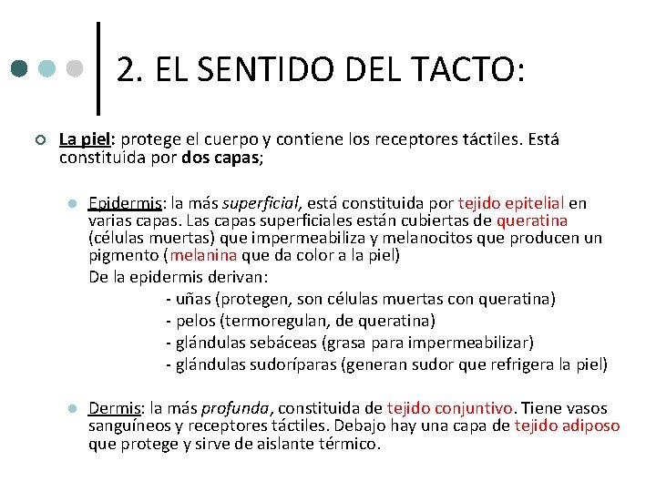 2. EL SENTIDO DEL TACTO: ¢ La piel: protege el cuerpo y contiene los 2. EL SENTIDO DEL TACTO: ¢ La piel: protege el cuerpo y contiene los