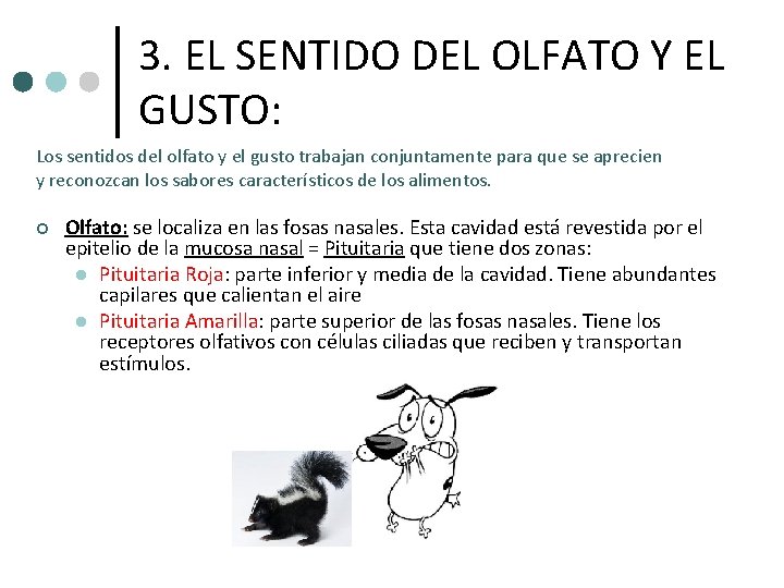 3. EL SENTIDO DEL OLFATO Y EL GUSTO: Los sentidos del olfato y el 3. EL SENTIDO DEL OLFATO Y EL GUSTO: Los sentidos del olfato y el