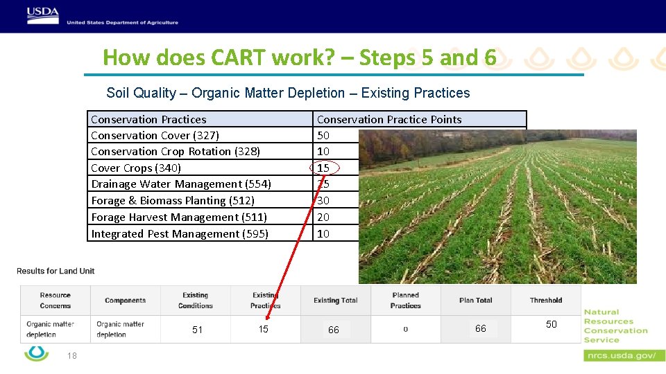 How does CART work? – Steps 5 and 6 Soil Quality – Organic Matter