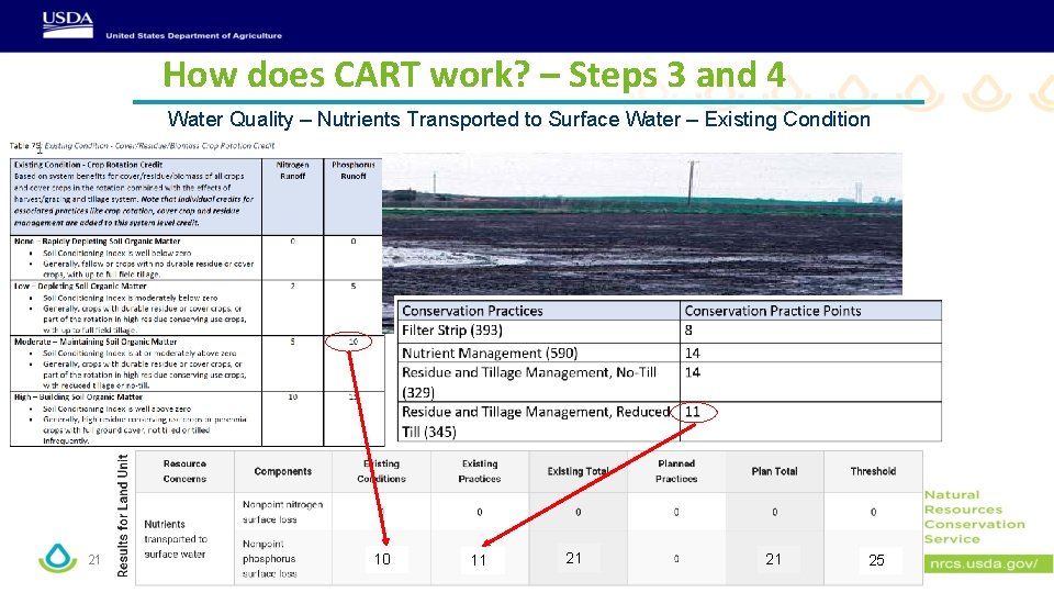 How does CART work? – Steps 3 and 4 Water Quality – Nutrients Transported