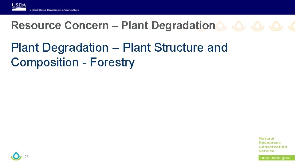 Resource Concern – Plant Degradation – Plant Structure and Composition - Forestry 23 