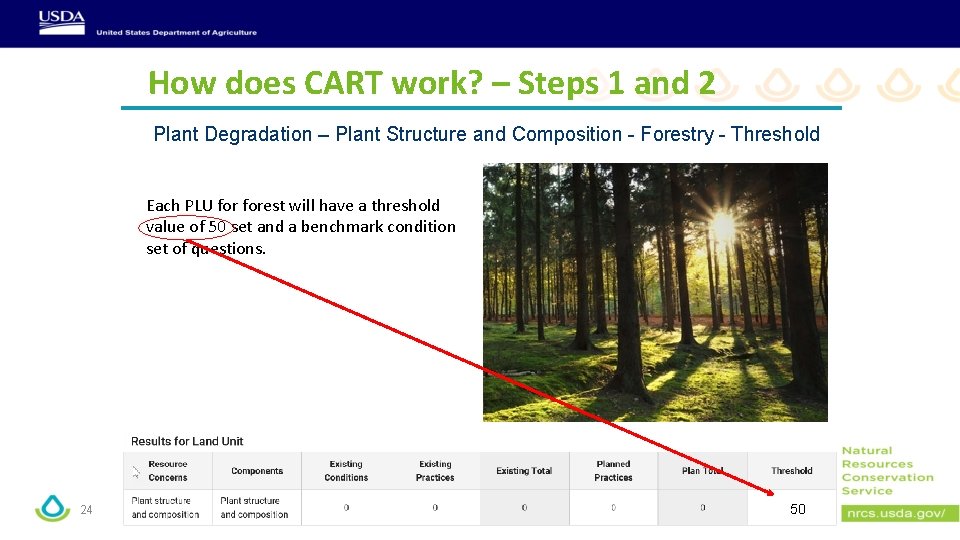 How does CART work? – Steps 1 and 2 Plant Degradation – Plant Structure