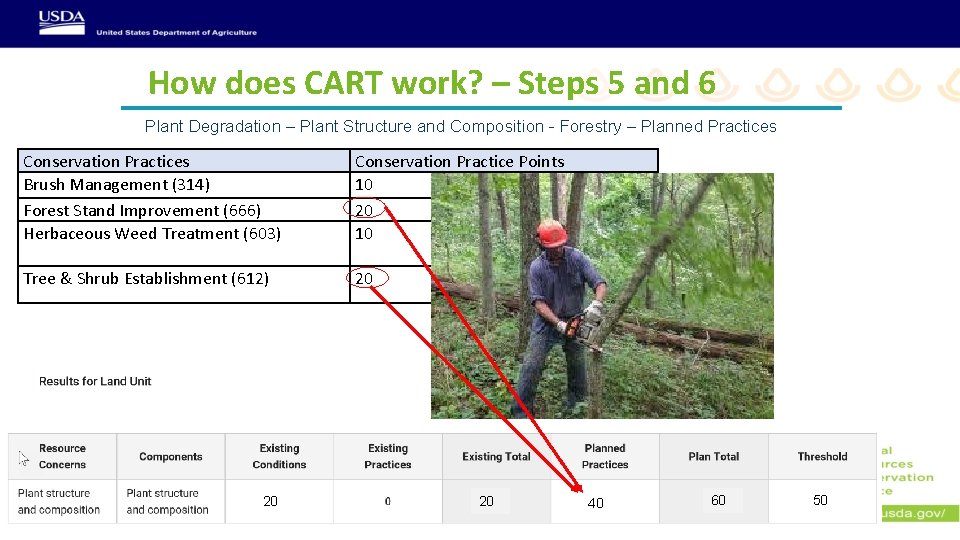 How does CART work? – Steps 5 and 6 Plant Degradation – Plant Structure