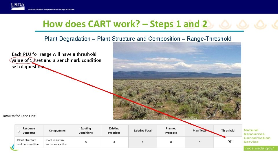 How does CART work? – Steps 1 and 2 Plant Degradation – Plant Structure