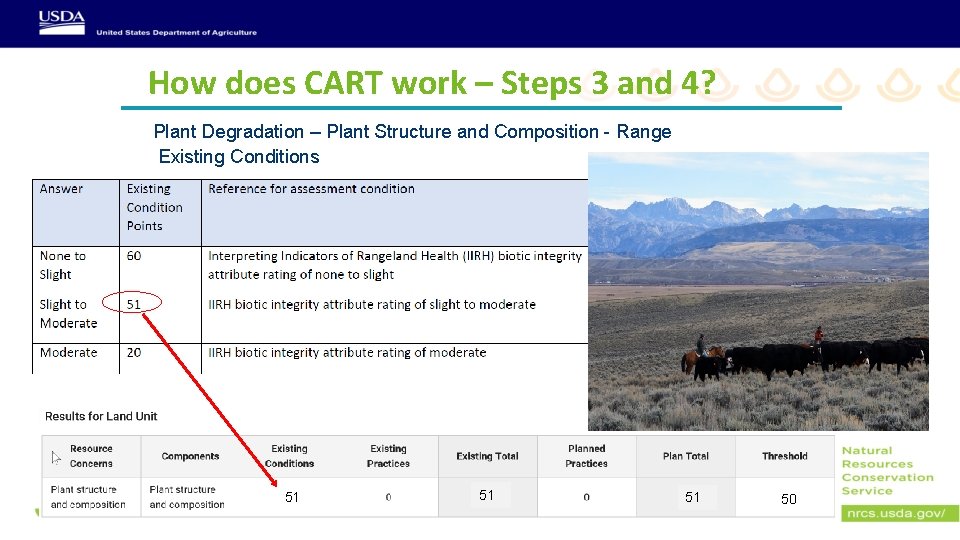 How does CART work – Steps 3 and 4? Plant Degradation – Plant Structure