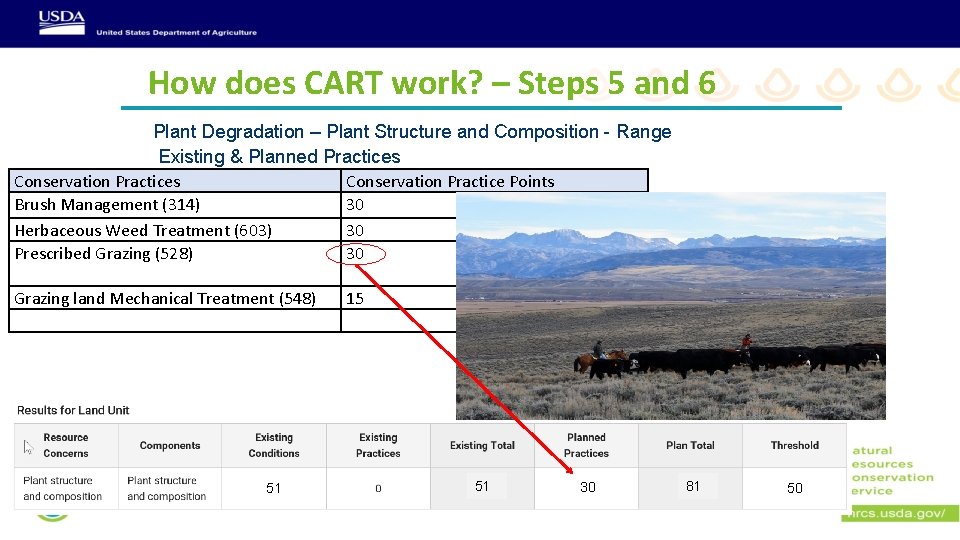 How does CART work? – Steps 5 and 6 Plant Degradation – Plant Structure