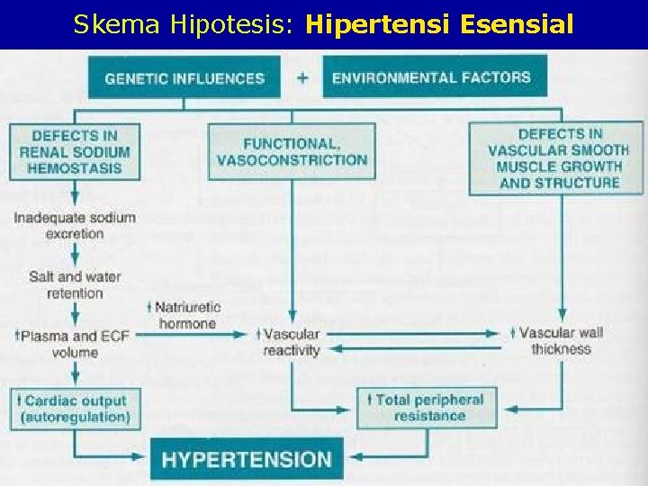 Skema Hipotesis: Hipertensi Esensial 11/23/2020 81 